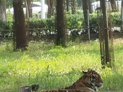-秦皇岛野生动物园