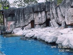 -上海野生动物园