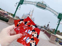 -上海迪士尼度假区