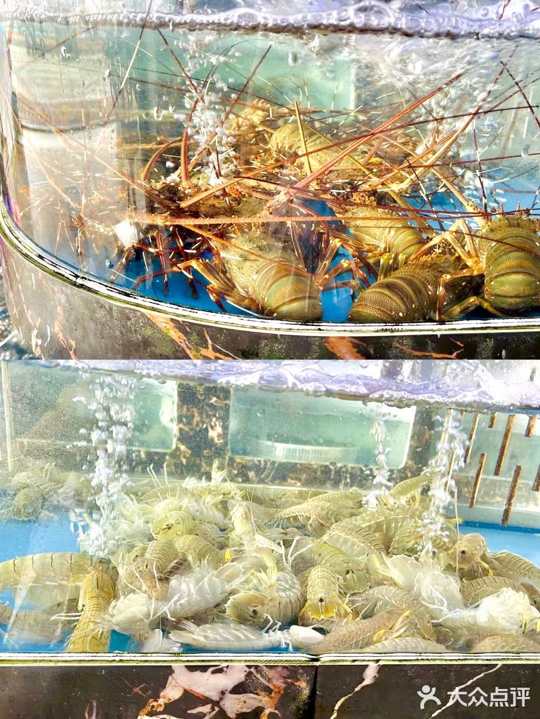 在浯屿岛吃海鲜看日落也太浪漫了吧‼️