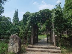-乌村