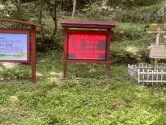 -牛背梁国家森林公园