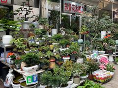 -苏州市皮市街花鸟工艺品市场