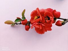 -陶然亭公园