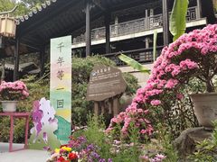 -虞山城墙