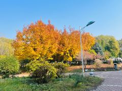 -哈尔滨师范大学(松北校区)