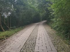 -紫金山天文台