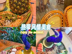 -南木湾·孔雀宴手抓饭·傣味餐厅