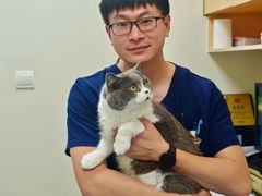 -美联众合动物医院·24h京西诊疗中心