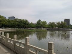 -莲花池公园