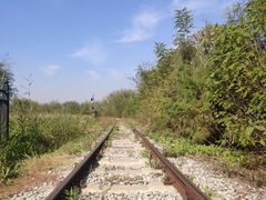 -西青郊野公园