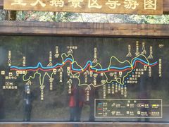 -望天鹅景区