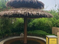 -大连金石滩绿发温泉假日酒店