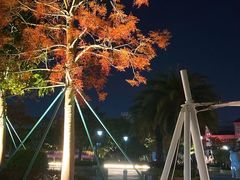 -厦门方特梦幻王国