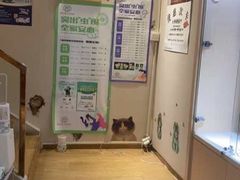-Pets First伊珊娜洗护·精致美容·家庭式寄养(新会路店)