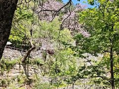 -北京上方山国家森林公园