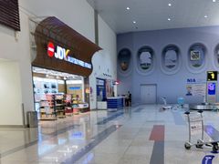 -河内内排国际机场