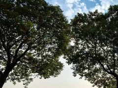 -嘉北郊野公园