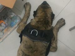 -果粉管家苹果维修·苹果哥科技(中关村科贸中心写字楼店)