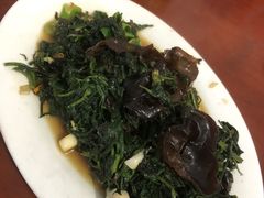 -中原农家乐(中原饭店)