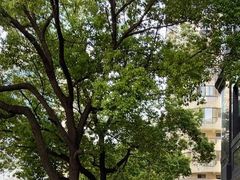 -中国建设银行(上海卢湾支行)