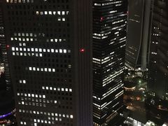 -东京都厅舍