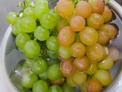 -马陆小张葡萄园农家乐