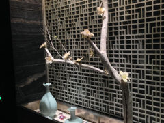 景观位-阿五黄河大鲤鱼(纬三路店)