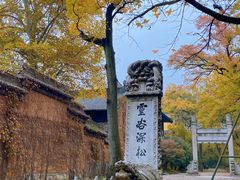 -灵谷景区