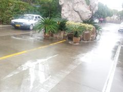 -安飞驰驾校·学车连锁(金高店)