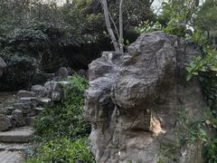 -洛阳市牡丹公园