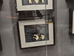 -上海动漫博物馆