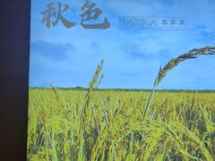 -秋色客家菜(南山店)