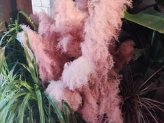 -春暖花开(西溪店)