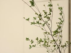 -fishtank鱼缸咖啡(三山街店)