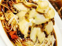 -鞍山大白鲨美食酒店