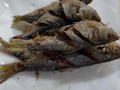 -科信海鲜主题餐厅(南通路店)