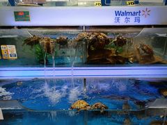 -沃尔玛超市(人民广场店)