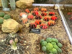 -中国科学院西双版纳热带植物园