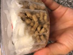 -红宝石·鲜奶小方·海派西点房(南丹店)