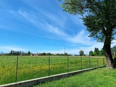 -TeaTimes(凤凰书城店)