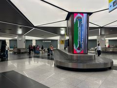 -谢列梅捷沃国际机场