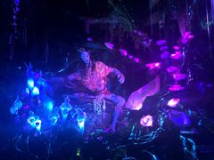 -奥兰多迪士尼动物王国乐园