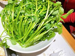 潮汕西洋菜-汕头八合里海记牛肉店(清河店)