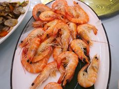 -新名仕新白玉兰餐厅