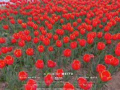 -咸阳湖景区-统一广场