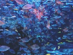 -成都浩海立方海洋公园