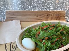 -油梨树AVOCADO TREE(望京店)