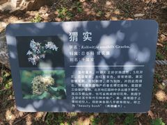 -国家植物园南园