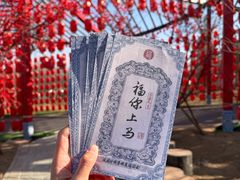 -北京凤凰岭